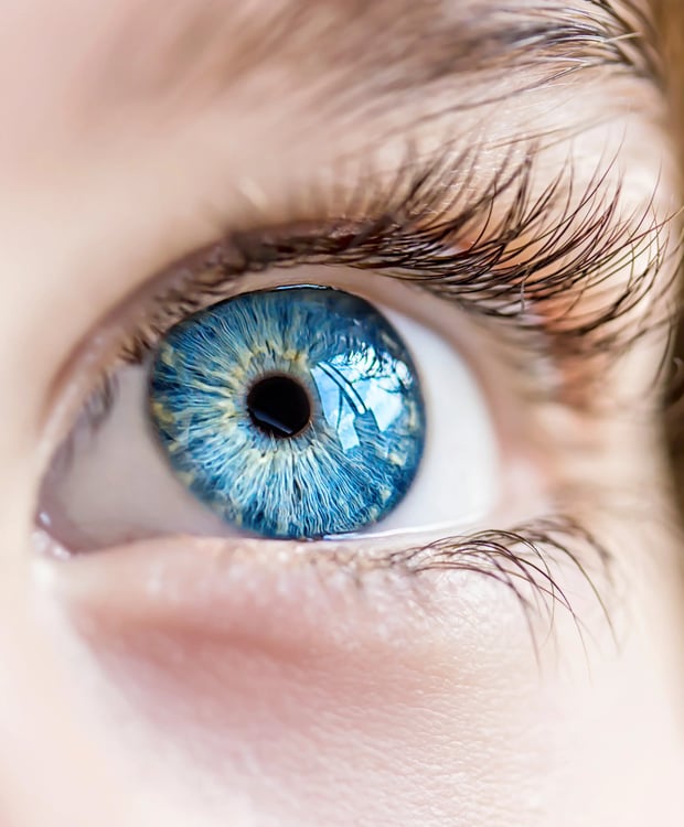 iStock-485642606_Website Version_20240826