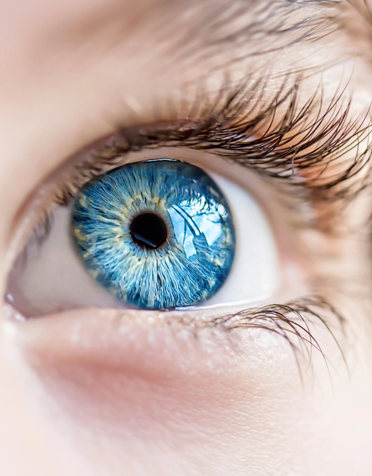 iStock-485642606_Talking Point 1_20240910_V2